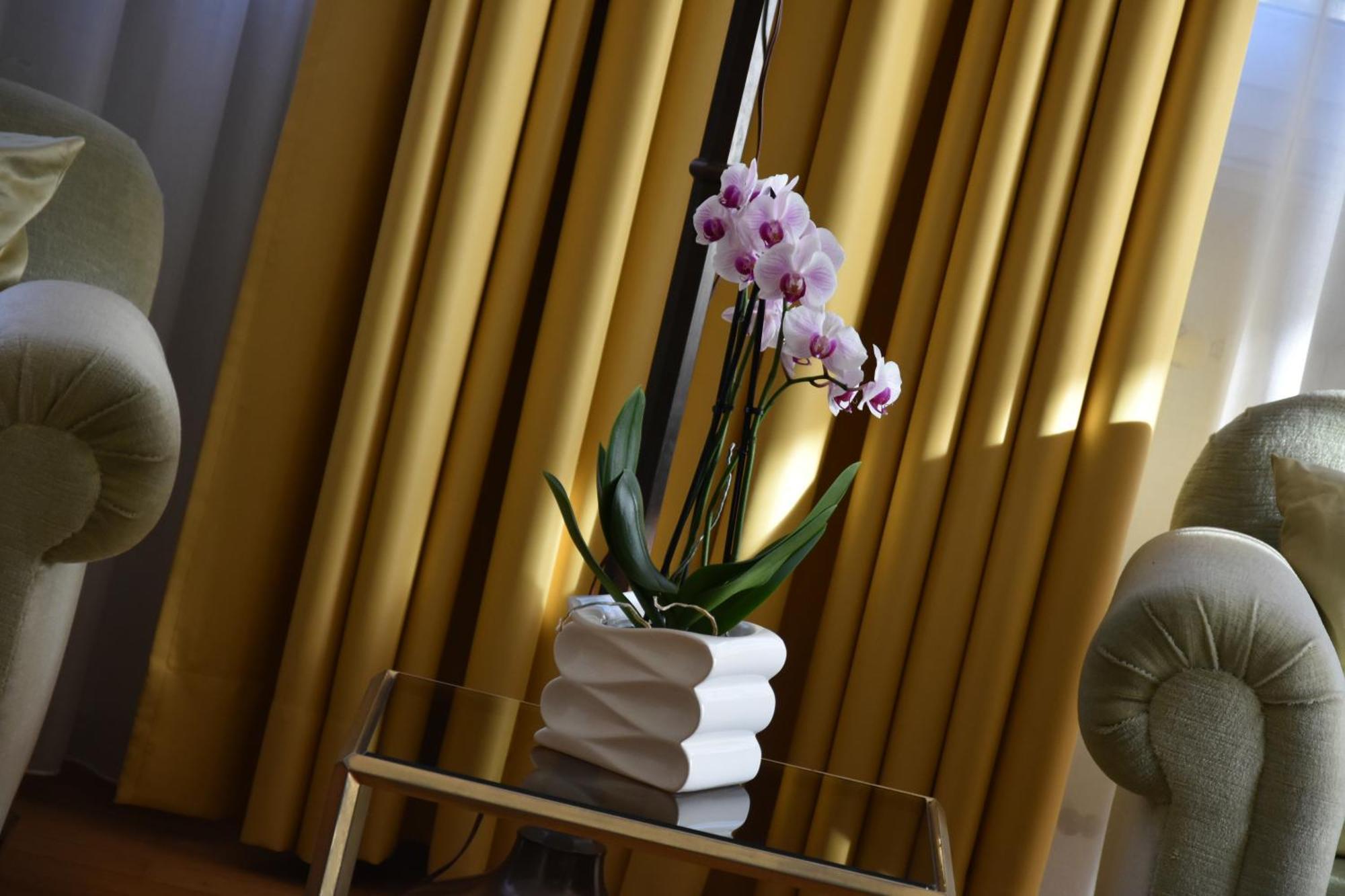 Casa Santa Birgitta Hotel Lugano Ngoại thất bức ảnh
